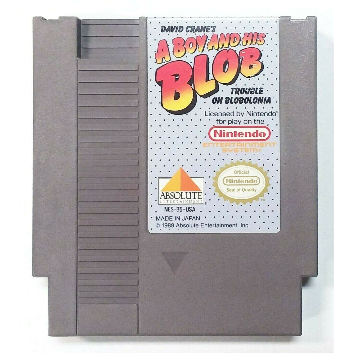 A Boy and his Blob Nintendo Entertainment NES Game from 2P Gaming